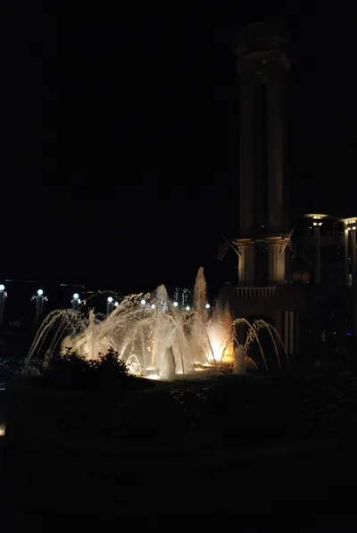 DSC_20007 (Large).JPG